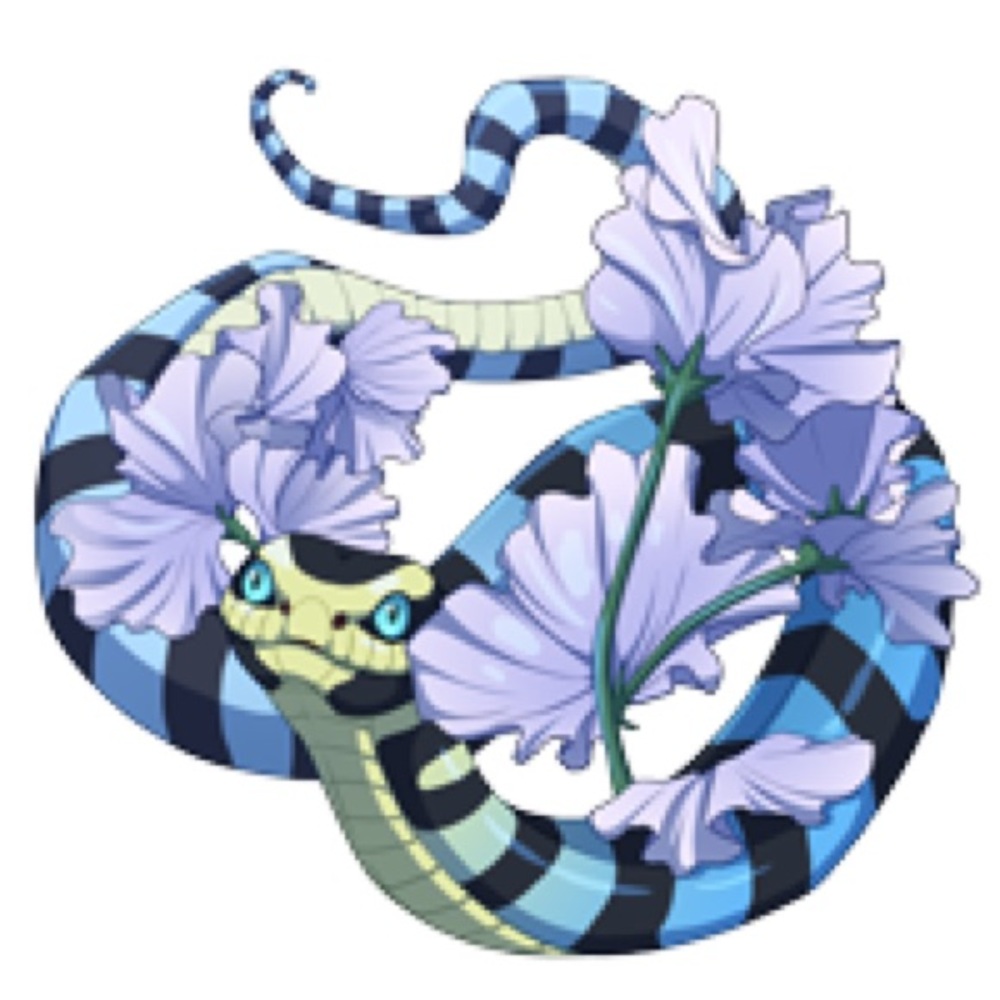 Meet your Posher, Ramona